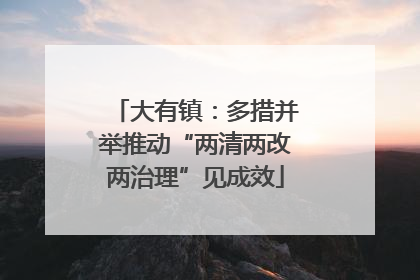 大有镇：多措并举推动“两清两改两治理”见成效